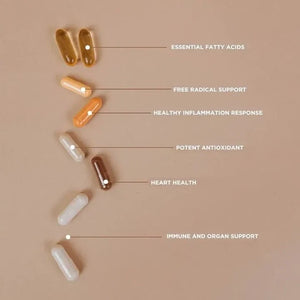 Essential Vitamin Pack By Revive