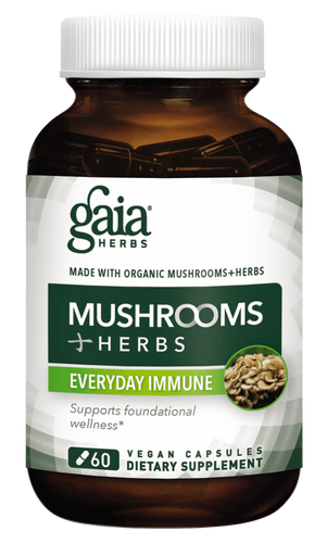 Mushrooms + Herbs Everyday Immune - PNC Maine